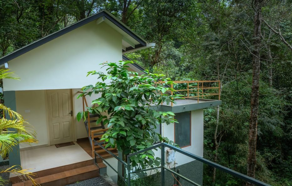 Deepwoods resort